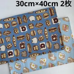 Item thumbnail for item 30ff369a-6e17-4f41-8161-0cd15863d63a