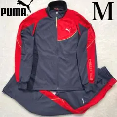 Item thumbnail for item 40e6322d-4c27-4969-ab10-f8ab688edea9