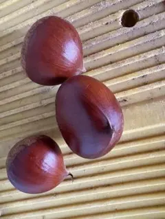 にゃん様専用ページです。お申し込みされて無い方のお買い上げはご遠慮願います。