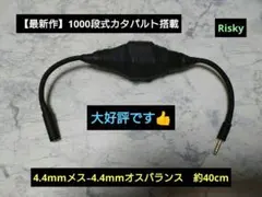 Item thumbnail for item 74369236-a17b-4478-9085-0416e9477655