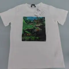 120cm☆LITTLE BEAR CLUB☆Tシャツ・恐竜のサムネイル