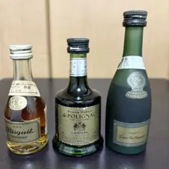 観賞用　古酒3点セット・ビスキー・ナポレオン・プリンスユベールドポリニャック