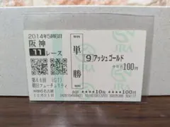 アッシュゴールド 第66回朝日杯フューチュリティS 2014年 【期限切れ】