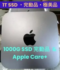 2026年最新】mac mini 16gb 1tbの人気アイテム - メルカリ