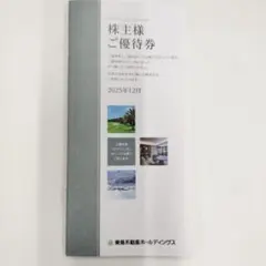 【最新版】東急不動産ホールディングス株主優待券　1000株以上5000株未満