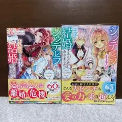 ChaosTCG 姫路瑞希＆木下秀吉 スリーブ 50枚 未開封 ブシロード 金銀 幸せ運ぶ