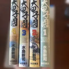 大甲子園 水島新司 文庫版 1〜17巻 全巻セット - メルカリ