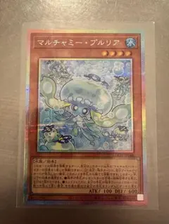 マルチャミー・プルリア プリシク