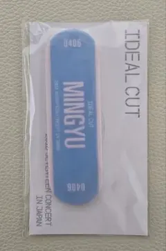 SEVENTEEN IDEAL CUT セブチ スマホバンド ミンギュ