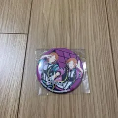 あんスタ　2wink 缶バッジ