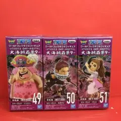 ★ワンピース　ワールドコレクタブルフィギュア 大海賊百景9   3体セット