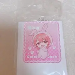 カラフルピーチ　東武動物公園　アクリルキーホルダー