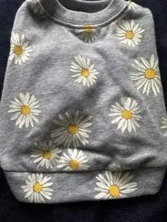 Item thumbnail for item 7a6612ae-b311-4169-9f55-6b535cb8b748