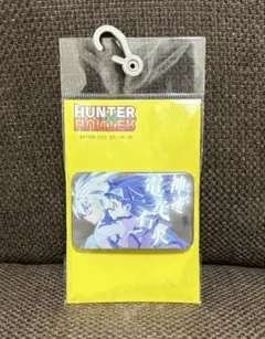 HUNTER×HUNTER 缶バッジ キルア アルカ アベイル