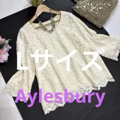Aylesbury ★総レースプルオーバーブラウス★大きいサイズL★ アイボリーのサムネイル