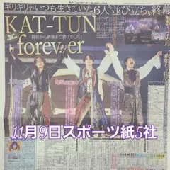 匿名配送！送料込み！ 11月9日 朝刊　 スポーツ紙全5社