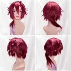 にじさんじ ローレン・イロアス コスプレ ウィッグ - メルカリ