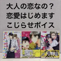 大人の恋なの？　恋愛はじめます　こじらせボイス　桜庭ちどり　BL セット　本