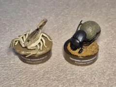 海洋堂　ファーブル昆虫記　2種セット