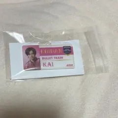 EBiDAN エビライ2025 ネームバッチ 超特急 カイ