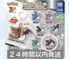 ポケモン30周年　メタルチャームマスコット　イベルタル　２点セット