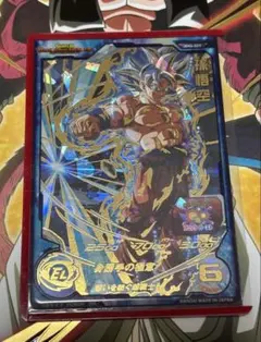 BM5-027 孫悟空　身勝手の極意