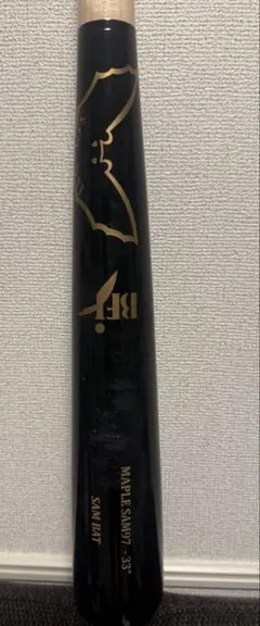 Item thumbnail for item 35c7ddf7-8727-45bc-808f-7636abea3a04