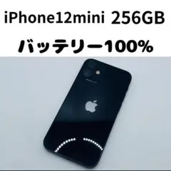 【格安美品】iPhone 12mini 256GB simフリー本体