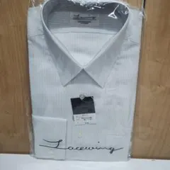 Item thumbnail for item 8fddda2b-f160-4bdf-a954-9fc933ce8e28