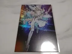【中国限定】FGO STAR影法師 10周年記念【エレシュキガル】ポストカード