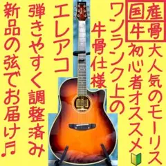モーリス　MR-2 エレアコ　グラデーショングリーン モーリス エレアコ トルネード Z-2 緑 グリーン サンバースト｜Yahoo