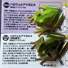 海洋堂 チョコQ ハロウェルアマガエル 通常と体色変化