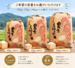 R 8年産】 石川県産新米コシヒカリ 20kg - メルカリ