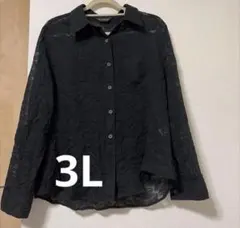 大きいサイズ婦人服3L 婦人服　長袖　シアーシャツ　薄手　透け感　黒シャツ　3L