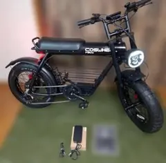 Custom Japan exs カスタムジャパン 電動アシスト自転車 大阪引取