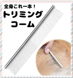 Item thumbnail for item d1df4ed4-0792-41e7-a14a-a827caac0c82