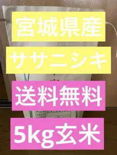 宮城米 ササニシキ 5kg玄米　送料込みのサムネイル