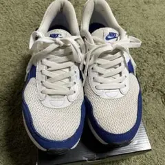 NIKE Air Max ホワイト/ブルー