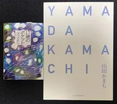 17歳のポケット 山田かまち - メルカリ
