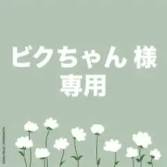 ビクちゃん様 リクエスト 2点 まとめ商品
