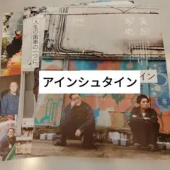 アインシュタイン　TVガイドPerson159 切り抜き