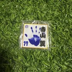 Item thumbnail for item 67ec3db6-038f-454d-85d2-ab856e9c4ac5