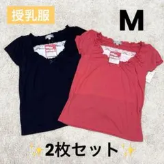 Item thumbnail for item c86adc6b-48e5-4e3f-9a4f-3452ea67dd99