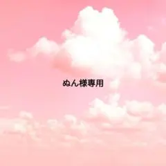 ぬん様専用ページ