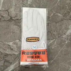 Item thumbnail for item e994aef9-a5d2-43b2-85ca-6022a820a55f