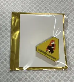 鬼滅の刃　隊士百景　コレクションピンズ　我妻善逸