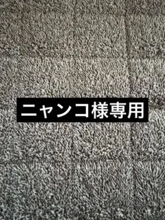 ニャンコ様専用