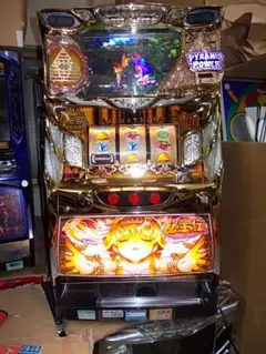 S／沖ドキ！GOLD／LS（沖ドキ！GOLD-30 ） IPS - メルカリ