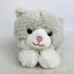 ニトリ くたくた クタクタ ぬいぐるみ 猫 ネコ ねこ NITORI 廃盤 希少 Amazon.co.jp: （ ） ニトリクタクタぬいぐるみ ネコ ぬいぐるみ