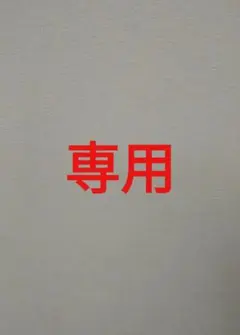 専用